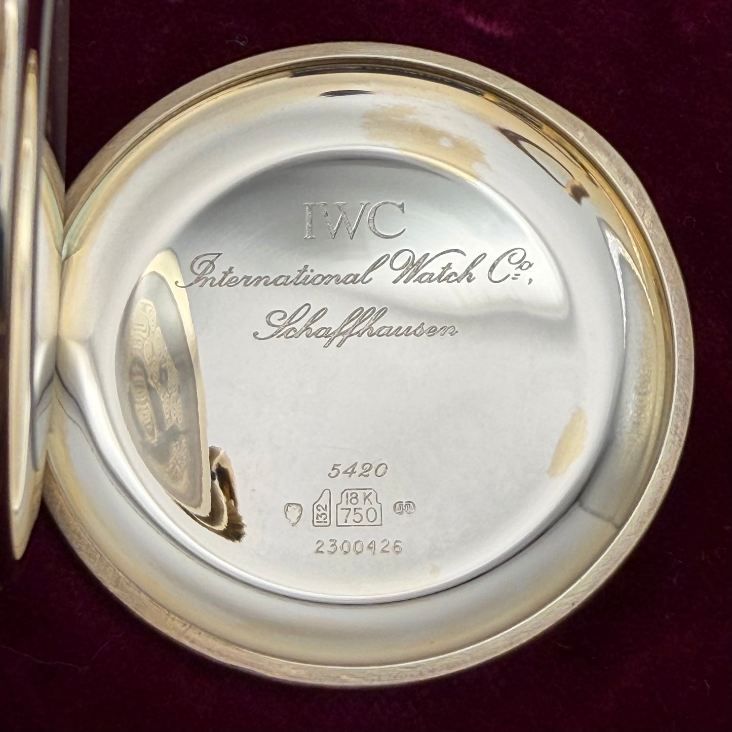 IWC Scarabaeus Ernst Fuchs - 5420